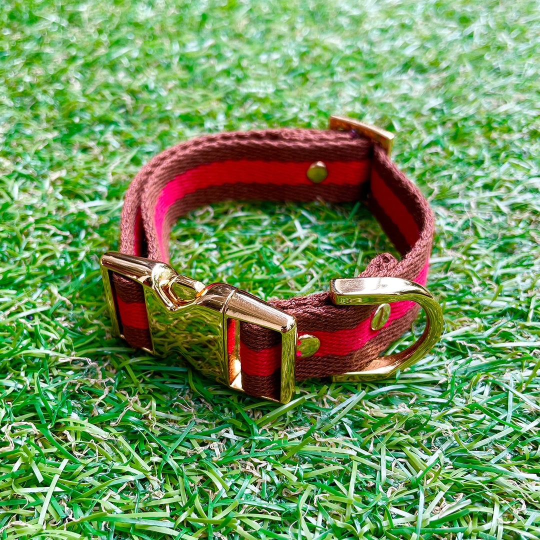 ※予約販売【HOSU】HOSU stripe dog collar(20mm)/Red×Brown
