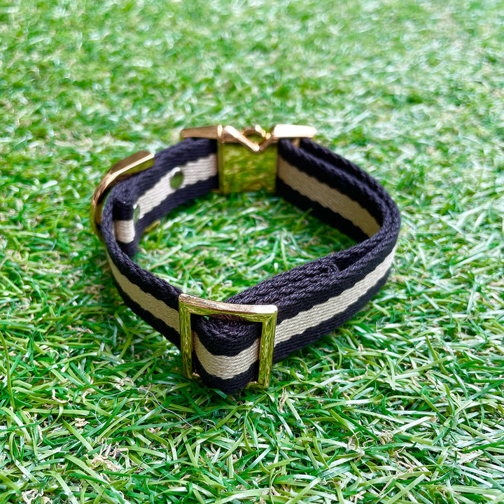 ※予約販売【HOSU】HOSU stripe dog collar(20mm)/Black×Ivory