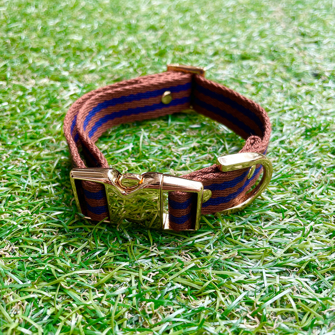 ※予約販売【HOSU】HOSU stripe dog collar(20mm)/Brown×Navy