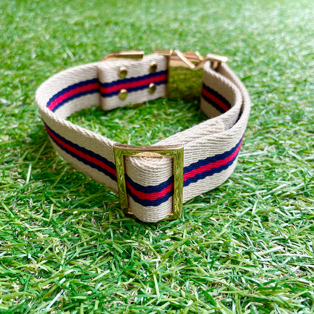 ※予約販売【HOSU】HOSU stripe dog collar(30mm)/Ivory×Red