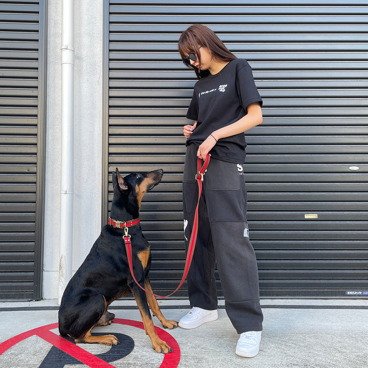 ※予約販売【HOSU】HOSU stripe dog collar(30mm)/Red×Brown