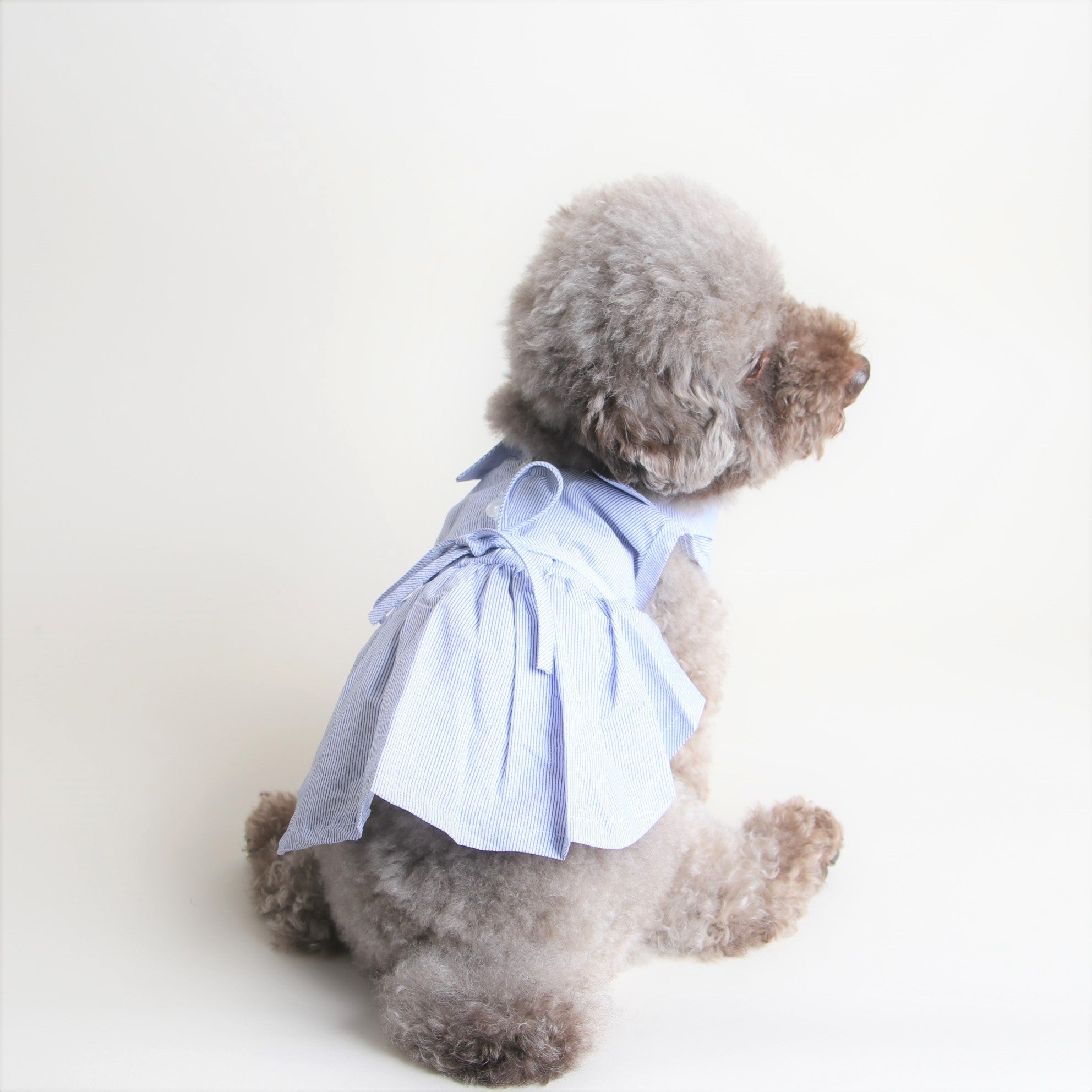 海外犬服 高品質なインポートのドッグウェア通販 