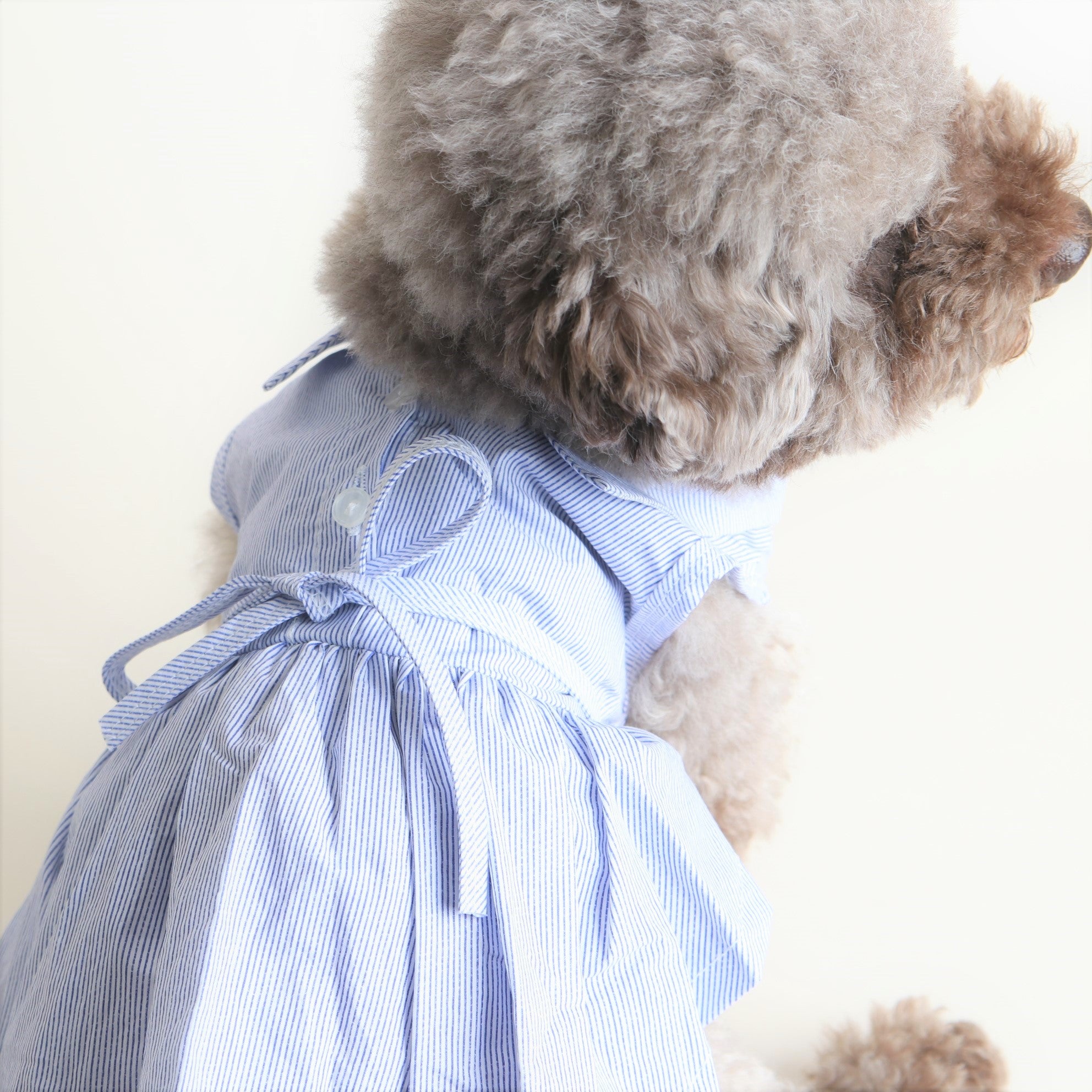 海外犬服 高品質なインポートのドッグウェア通販 