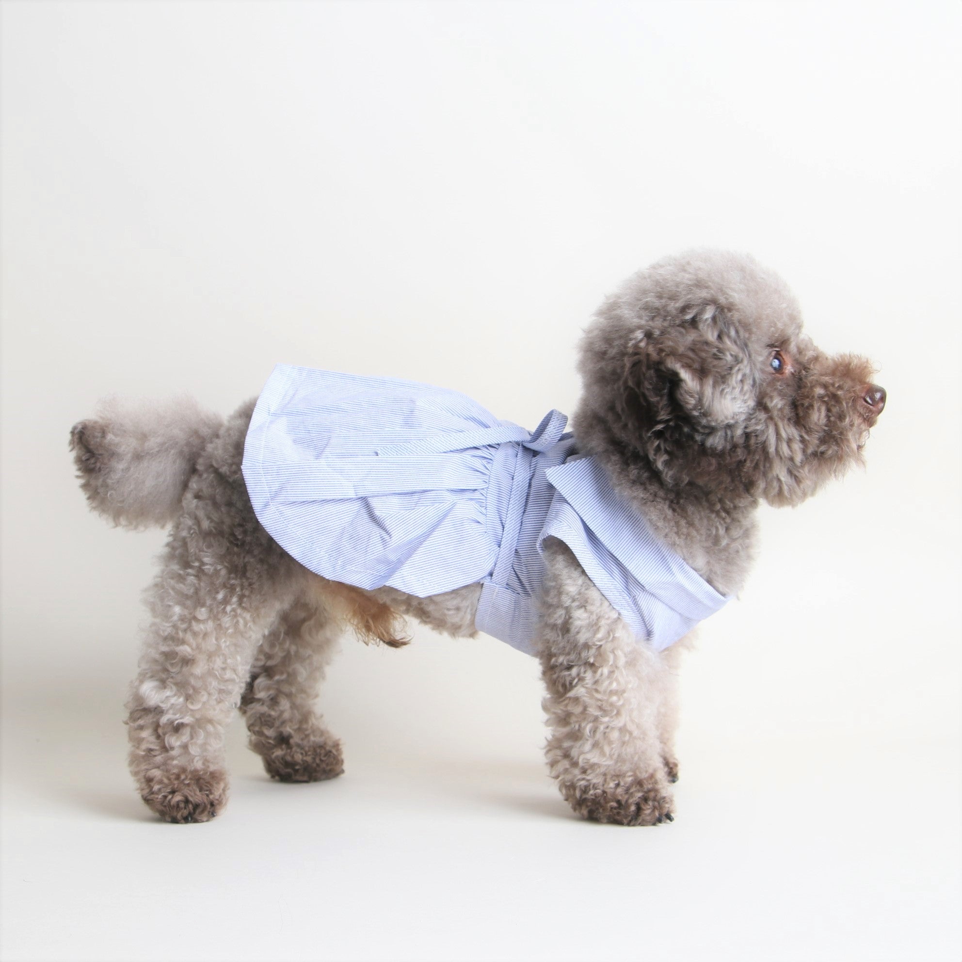 犬服 SS わんこの普段着　青い目のくまちゃん紺色 海外犬服 高品質なインポートのドッグウェア通販 