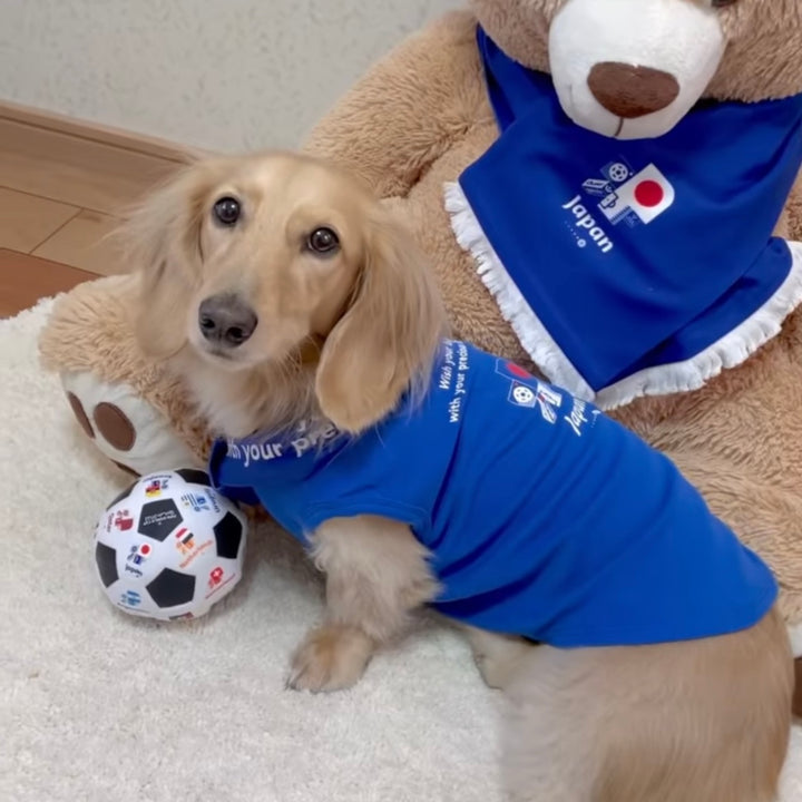 即納【FIFA WORLD CUP QATAR 2022™️】FIFA dog sleeveless（Blue）