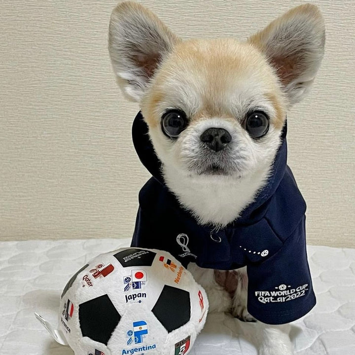 即納【FIFA WORLD CUP QATAR 2022™️】FIFA dog parker（Navy）