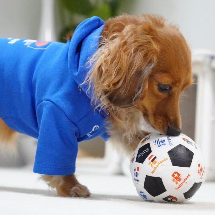 即納【FIFA WORLD CUP QATAR 2022™️】FIFA dog parker（Blue）