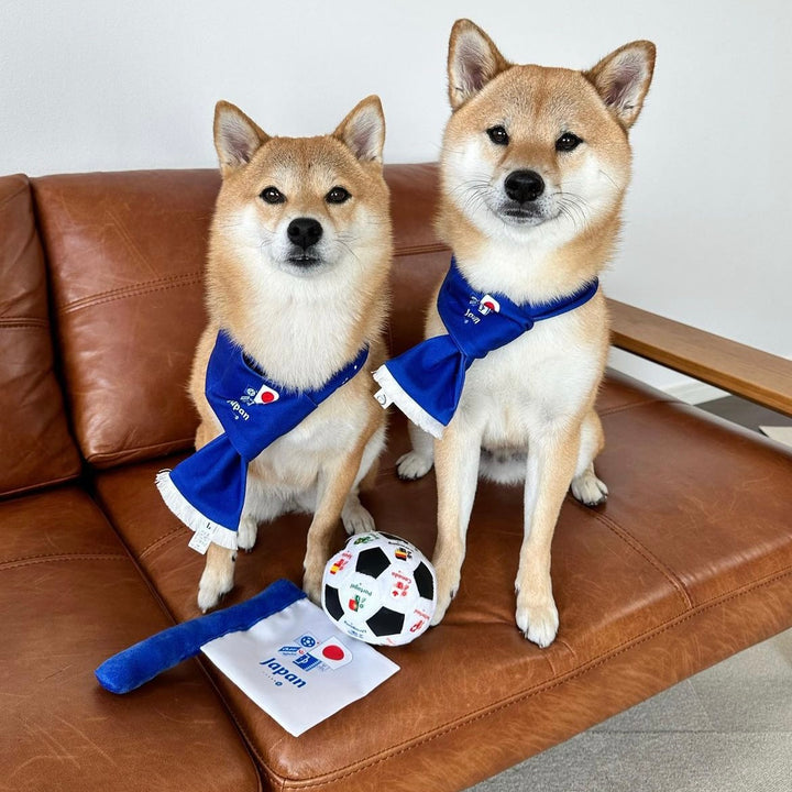 即納【FIFA WORLD CUP QATAR 2022™️】FIFA dog flag toy