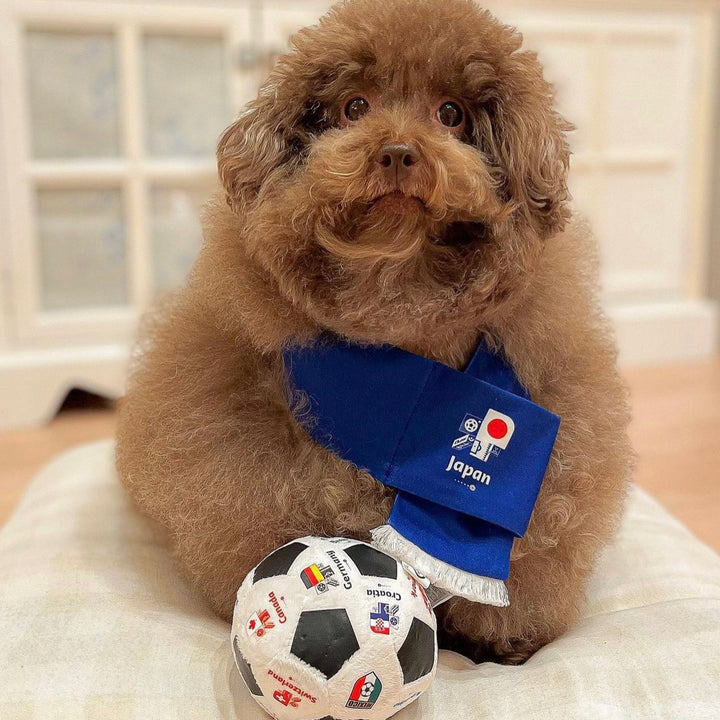 即納【FIFA WORLD CUP QATAR 2022™️】FIFA dog ball toy