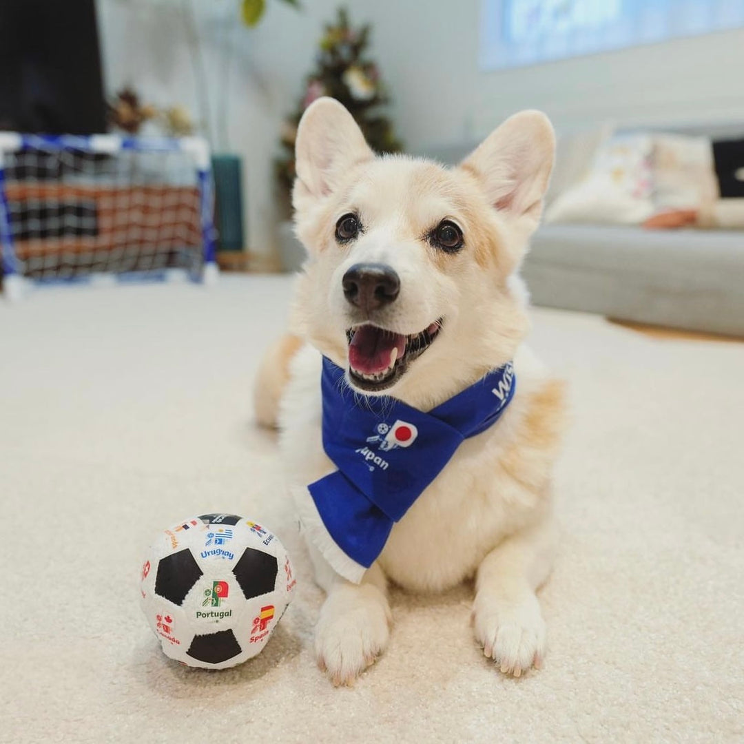 即納【FIFA WORLD CUP QATAR 2022™️】FIFA dog muffler