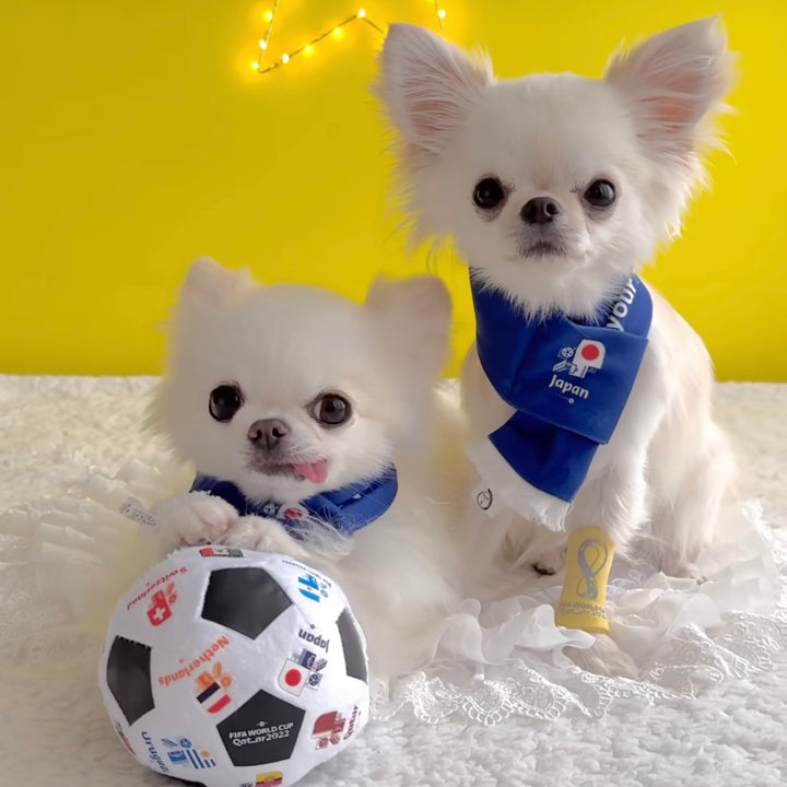 即納【FIFA WORLD CUP QATAR 2022™️】FIFA dog captain mark