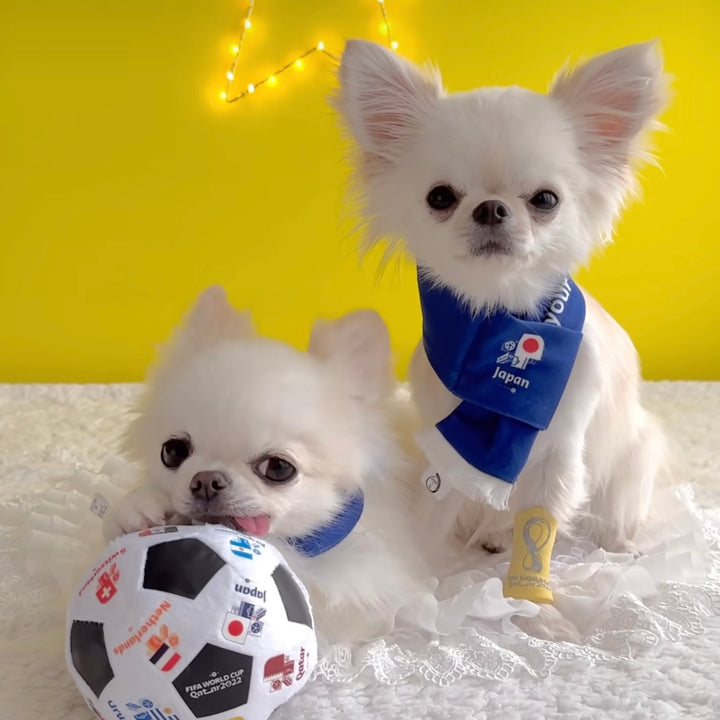 即納【FIFA WORLD CUP QATAR 2022™️】FIFA dog muffler