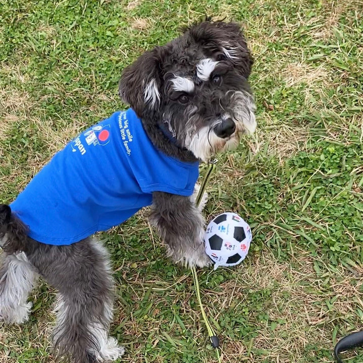 即納【FIFA WORLD CUP QATAR 2022™️】FIFA dog sleeveless（Blue）