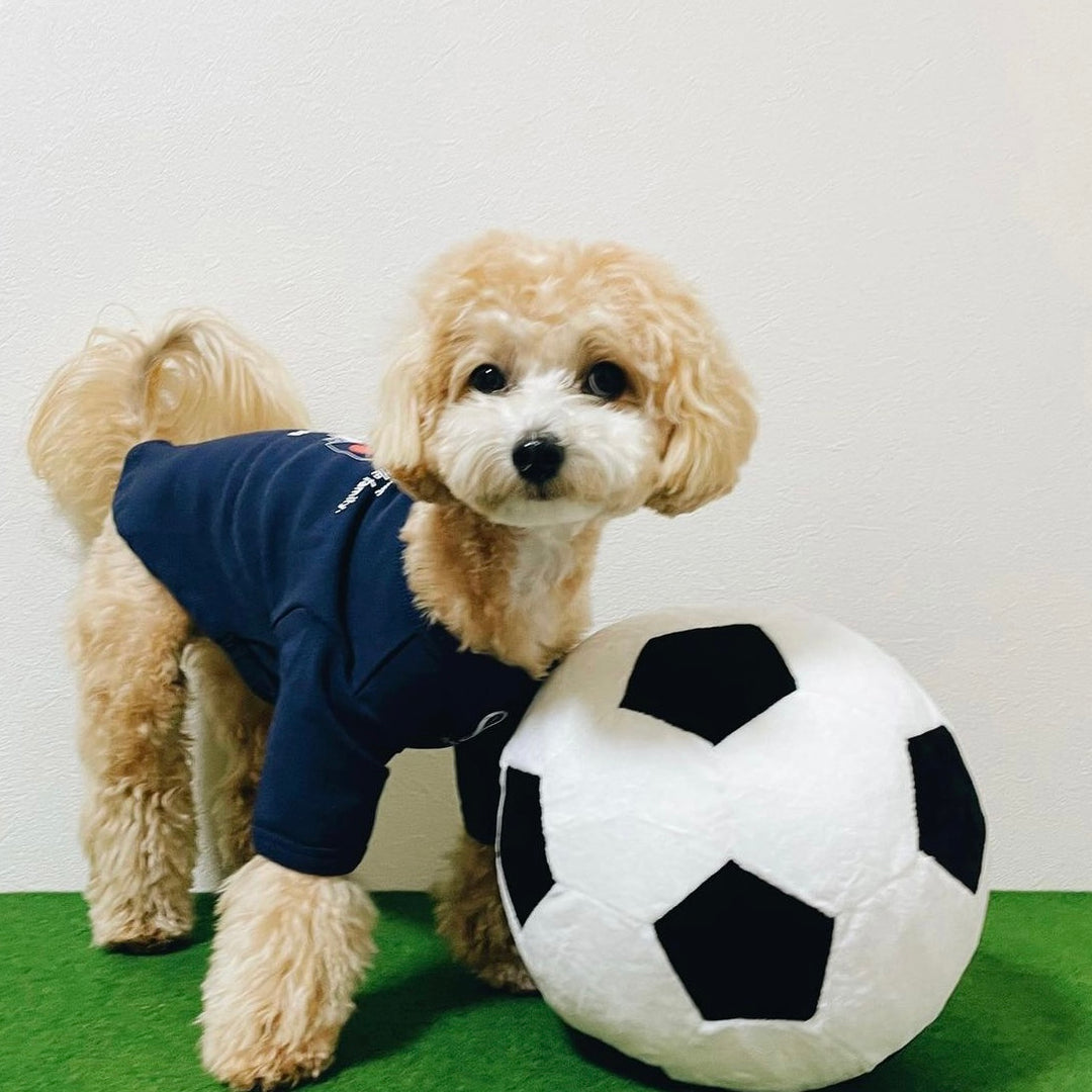 即納【FIFA WORLD CUP QATAR 2022™️】FIFA dog longsleeve（Navy）