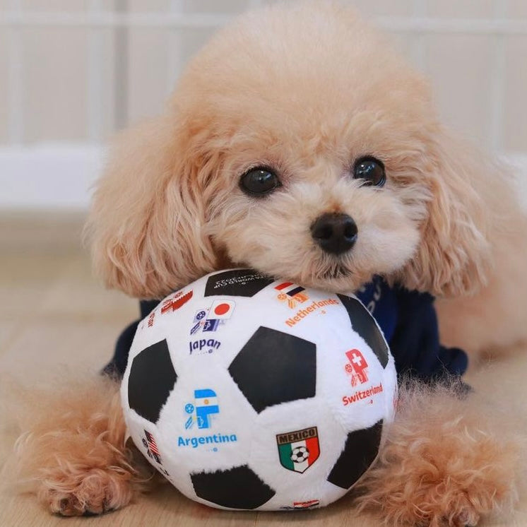 即納【FIFA WORLD CUP QATAR 2022™️】FIFA dog ball toy