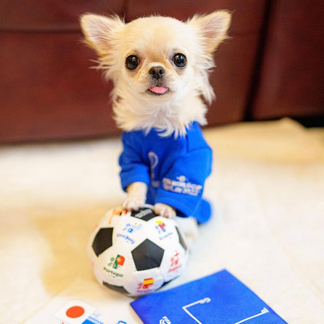 即納【FIFA WORLD CUP QATAR 2022™️】FIFA dog longsleeve（Blue）