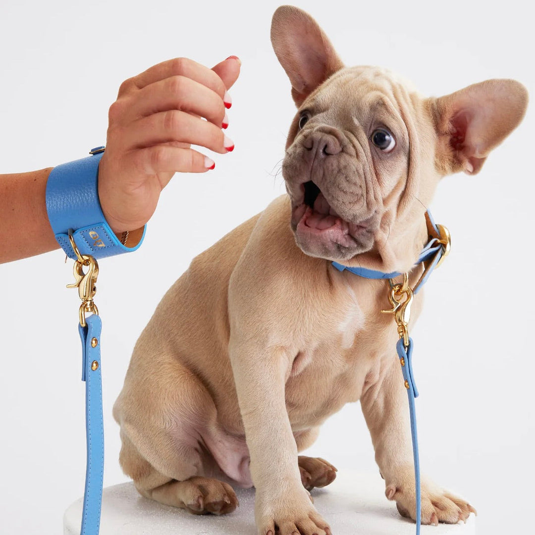 ※予約販売【MOSHIQA】TinTin Dog Bracelet with Leash