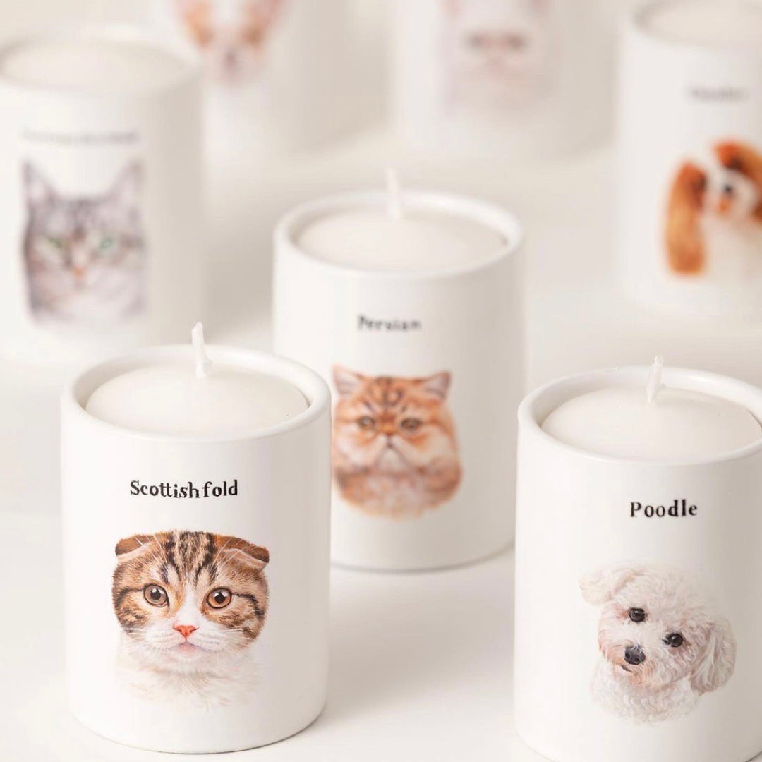 ※予約販売【draw pet】my pet Order made candle separate