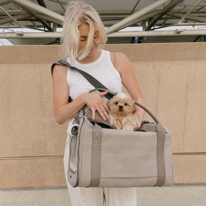 即納【max bone】Global Citizen Pet Carrier Bag