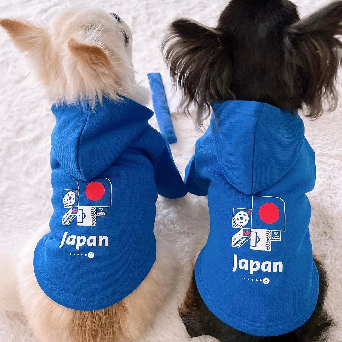 URBAN DOG TOKYO