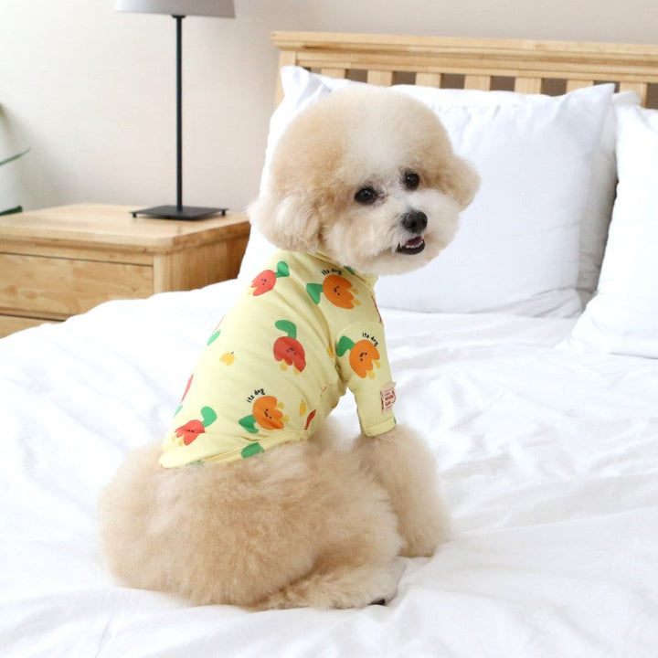 ※予約販売【ITS DOG】Warm-up heat t-shirt (Yellow)
