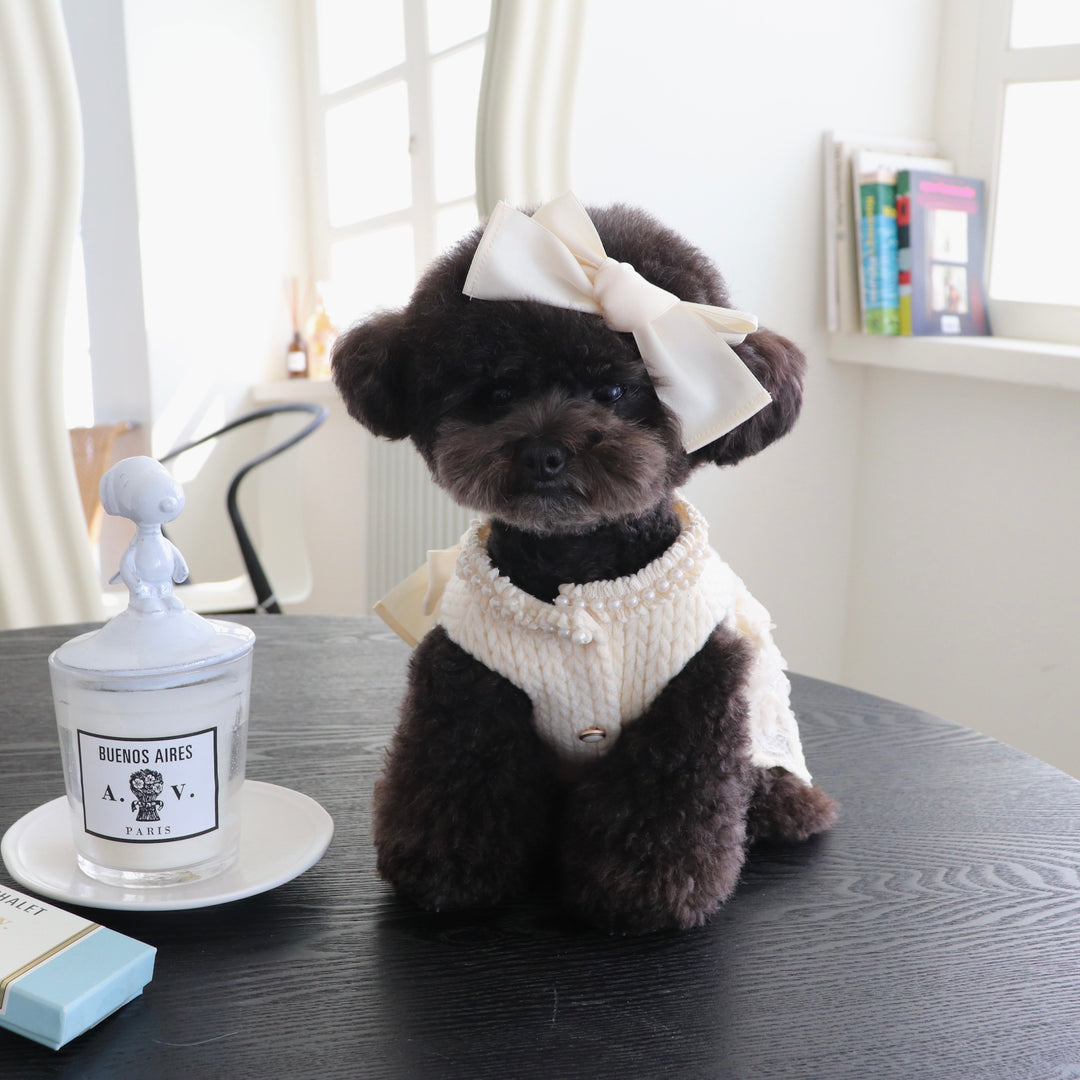 ※予約販売【Hi Yeboo】Pixie Knit Dress（Ivory）