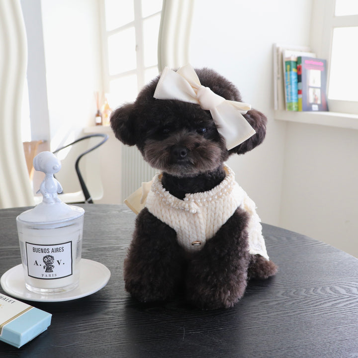 ※予約販売【Hi Yeboo】Pixie Knit Dress（Ivory）