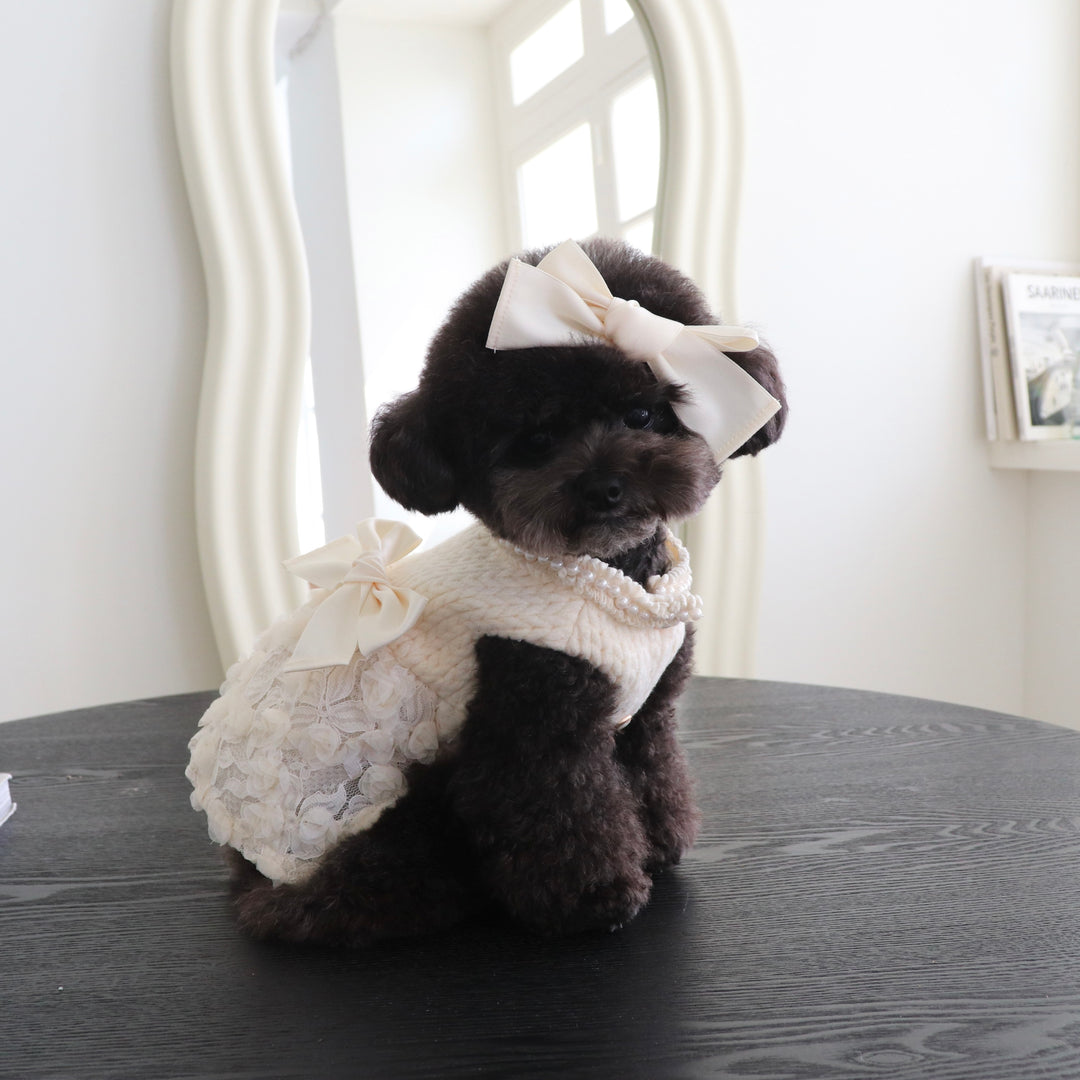 ※予約販売【Hi Yeboo】Pixie Knit Dress（Ivory）