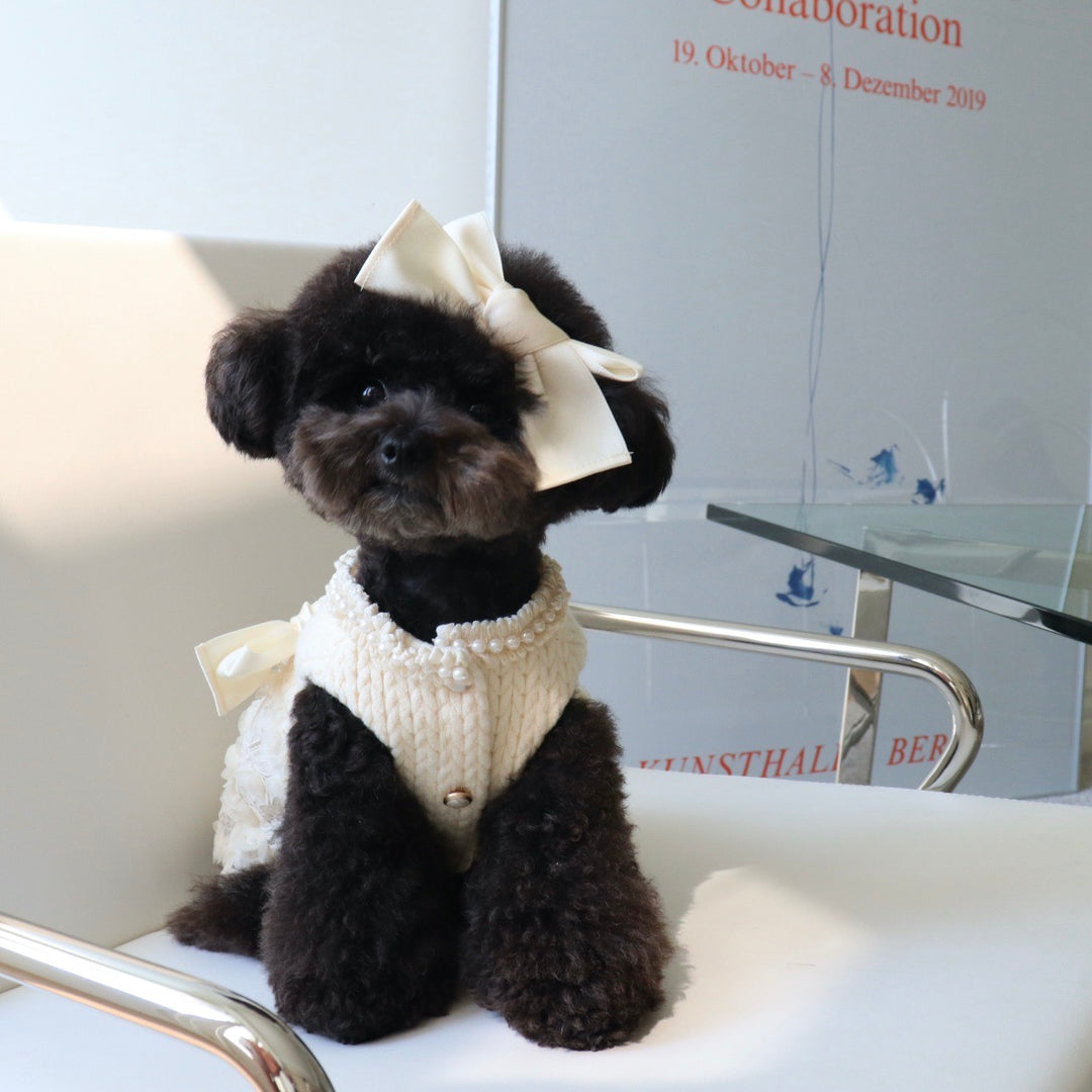 ※予約販売【Hi Yeboo】Pixie Knit Dress（Ivory）