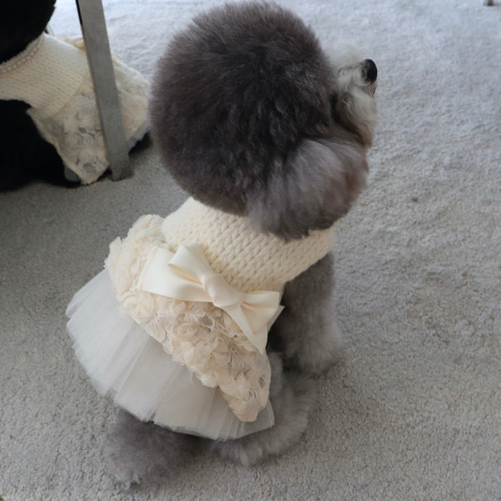 ※予約販売【Hi Yeboo】Pixie Knit Dress（Ivory）