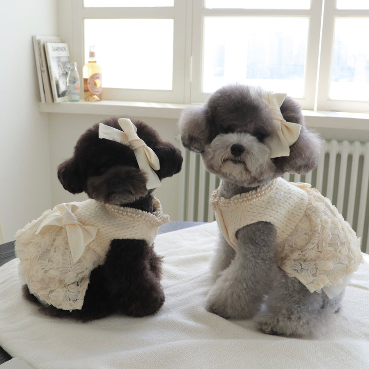 ※予約販売【Hi Yeboo】Pixie Knit Dress（Ivory）