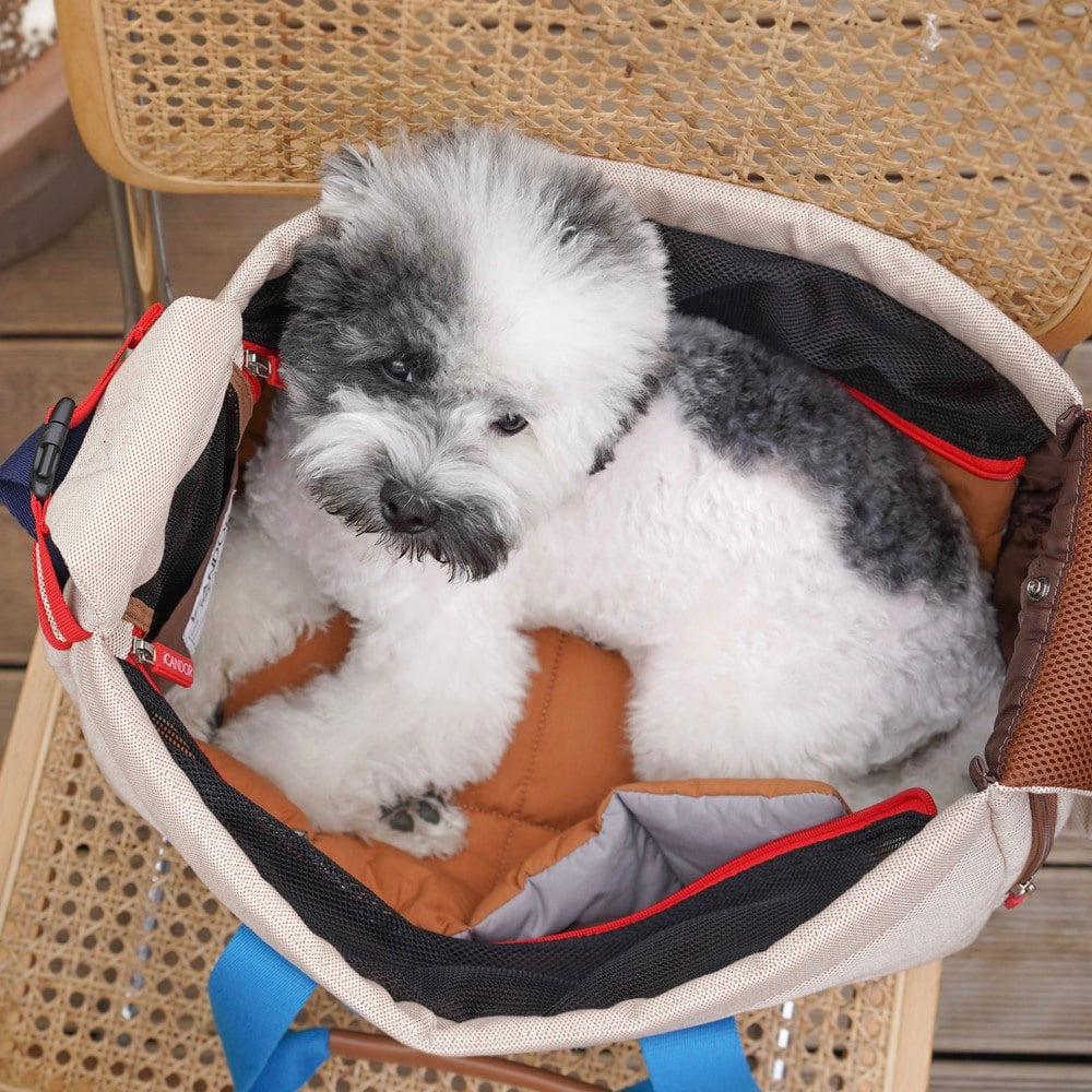 海外犬服 高品質なインポートのドッグウェア通販 