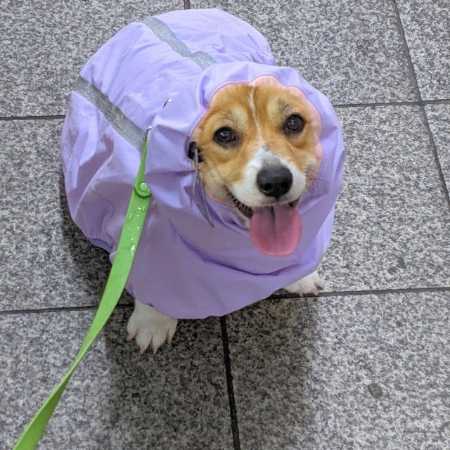 ※予約販売【munikund】Grape Rain Coat