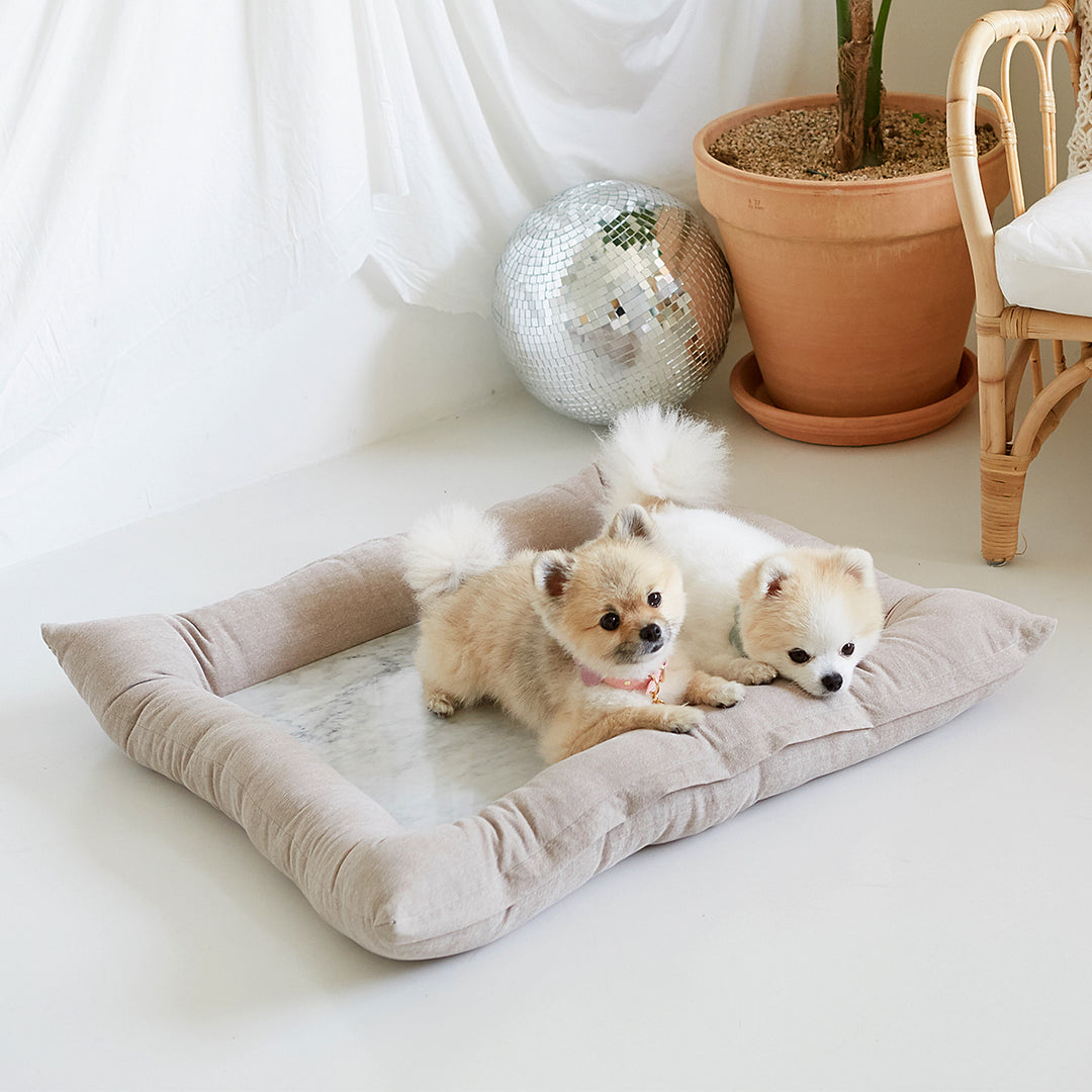 ※予約販売【BANDAL.Pet】大理石調 Bianco cool bed（ベージュ）