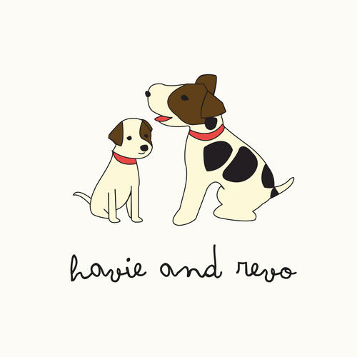 即納【Havie and Revo】"CANE SERIES"イタリアンレザーラグジュアリーリード（ピンク）