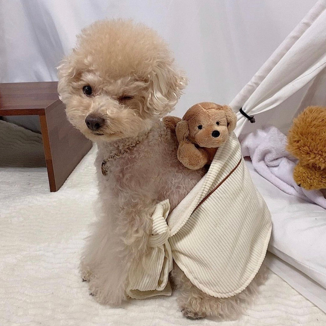 海外犬服 高品質なインポートのドッグウェア通販 