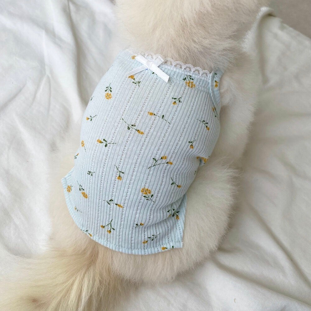 ☆BONJOUR TOU-TOU ☆犬用 レインコート ☆BONJOUR TOU-TOU ☆犬用 レインコート 楽天市場】※予約販売【Bonjour