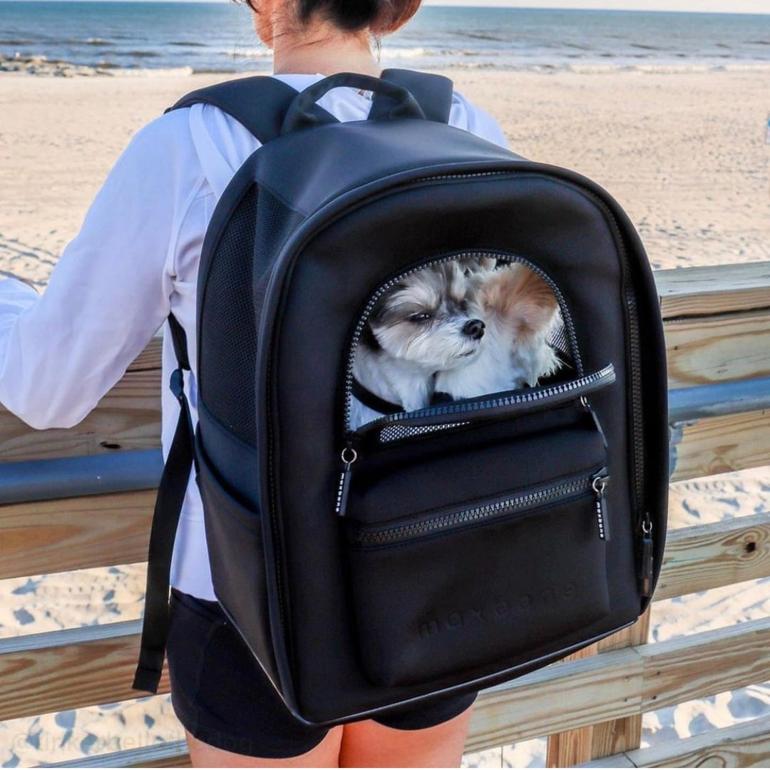 ※予約販売【max bone】Go Everywhere Backpack