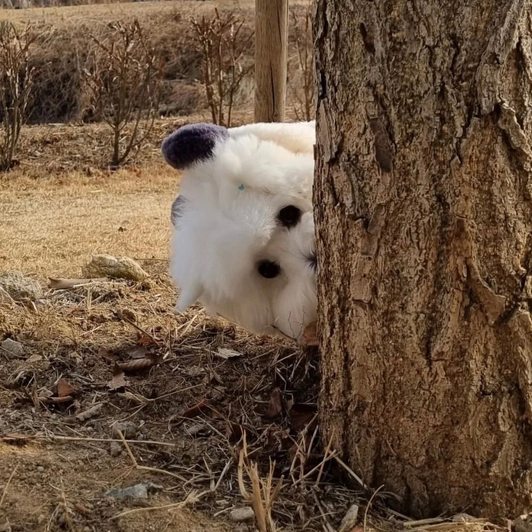 即納【BeBe Breath】puppy bear harness（Panda）