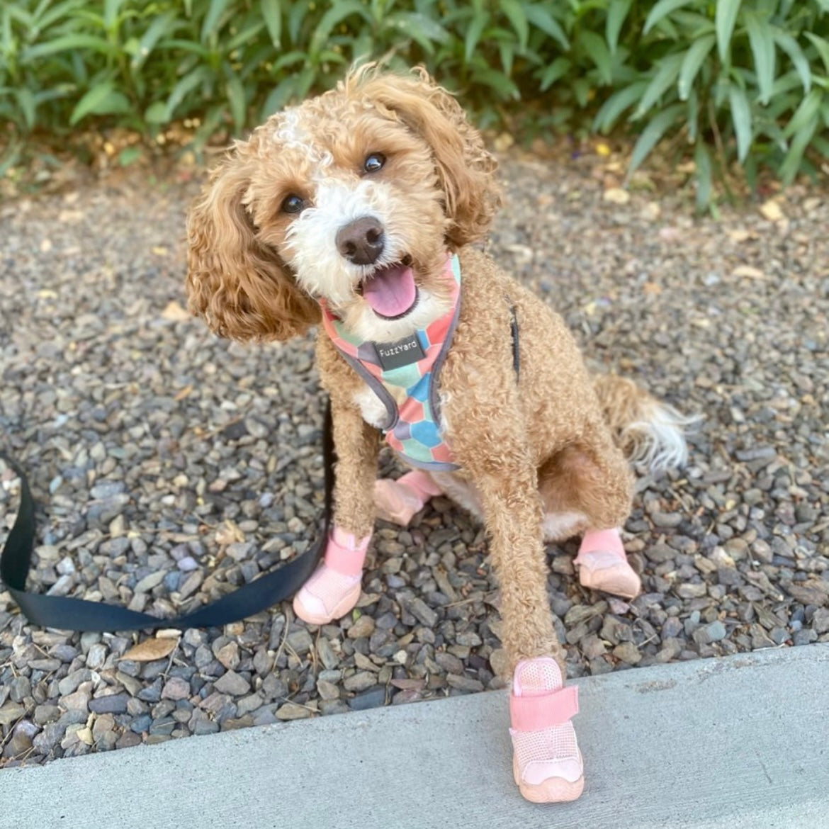 海外犬服 高品質なインポートのドッグウェア通販 