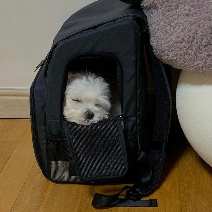 ※予約販売【INSIDE DOG & CAT】Inside R Backpack2（グレー/ブラック）