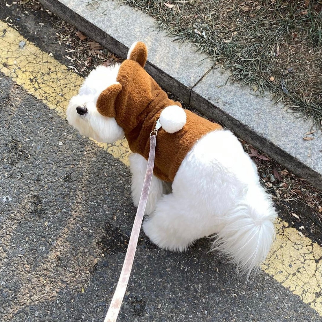 海外犬服 高品質なインポートのドッグウェア通販 