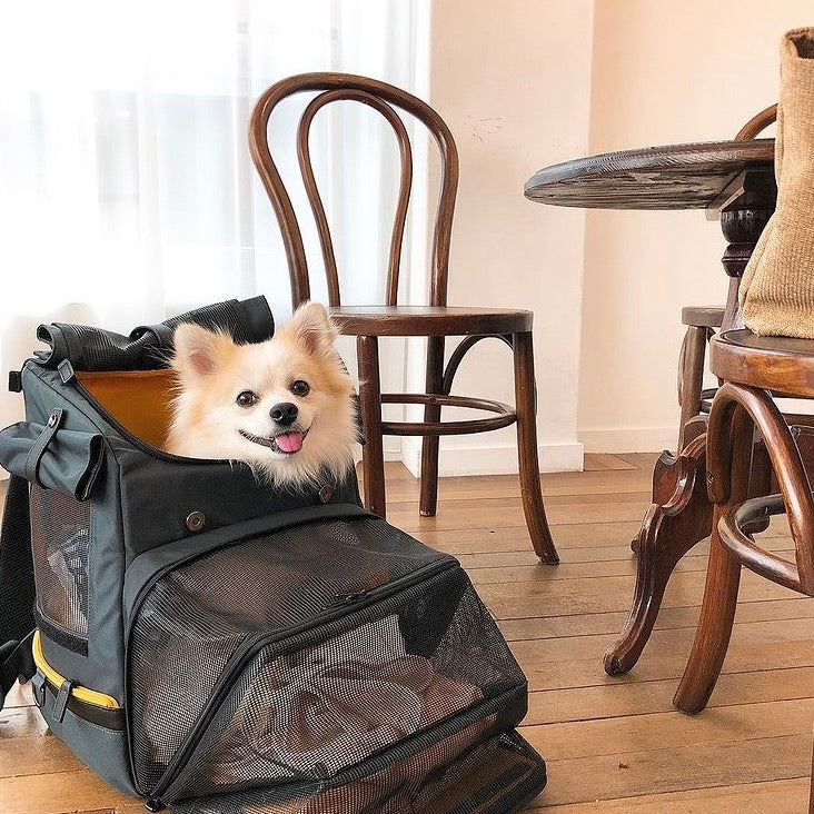 ※予約販売【INSIDE DOG & CAT】Inside R Backpack2（グレー/イエロー）
