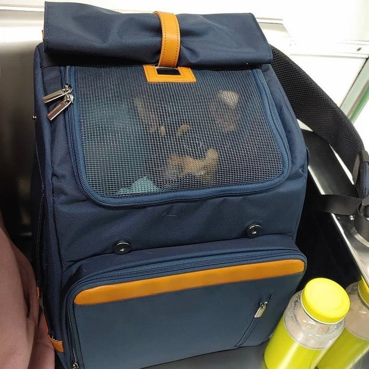 ※予約販売【INSIDE DOG & CAT】Inside R Backpack2（キャメル/ネイビー）