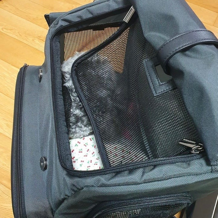 ※予約販売【INSIDE DOG & CAT】Inside R Backpack2（グレー/ブラック）