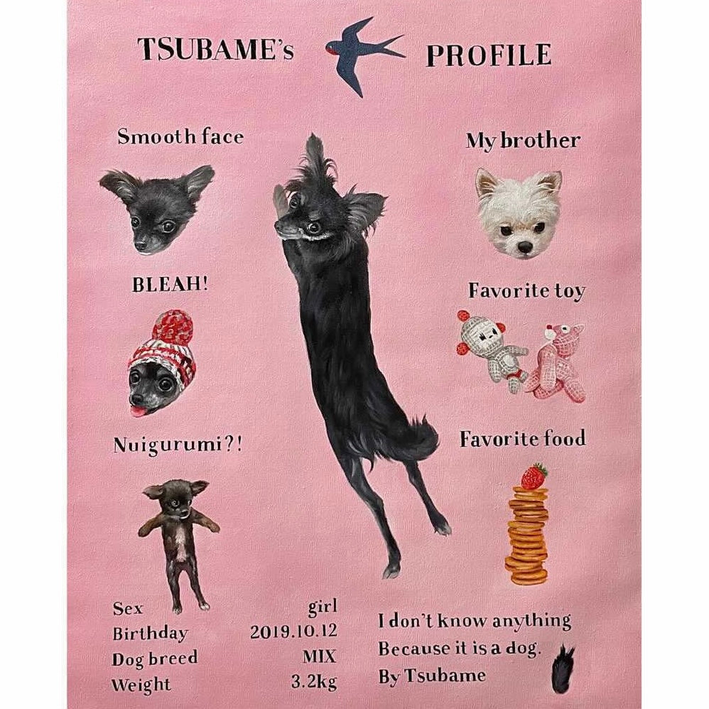 海外犬服 高品質なインポートのドッグウェア通販【draw pet】my