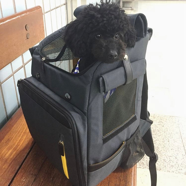 ※予約販売【INSIDE DOG & CAT】Inside R Backpack2（グレー/イエロー）