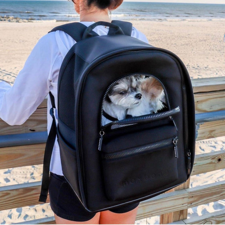 即納【max bone】Go Everywhere Backpack