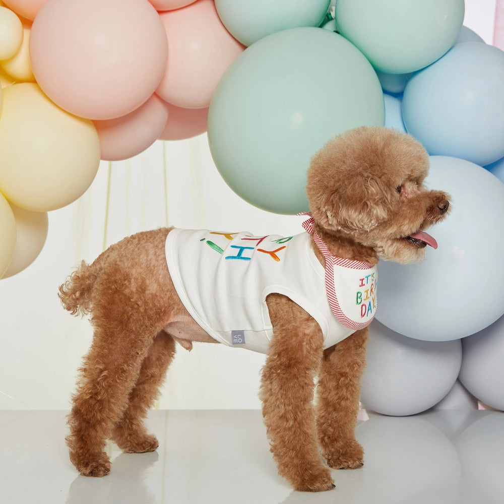 【LOVEMORE】HAPPY BIRTH DAYクロップトップ - URBAN DOG TOKYO