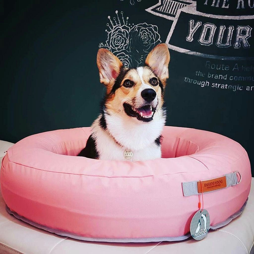 ※予約販売【INSIDE DOG & CAT】macaron tube（Pink）